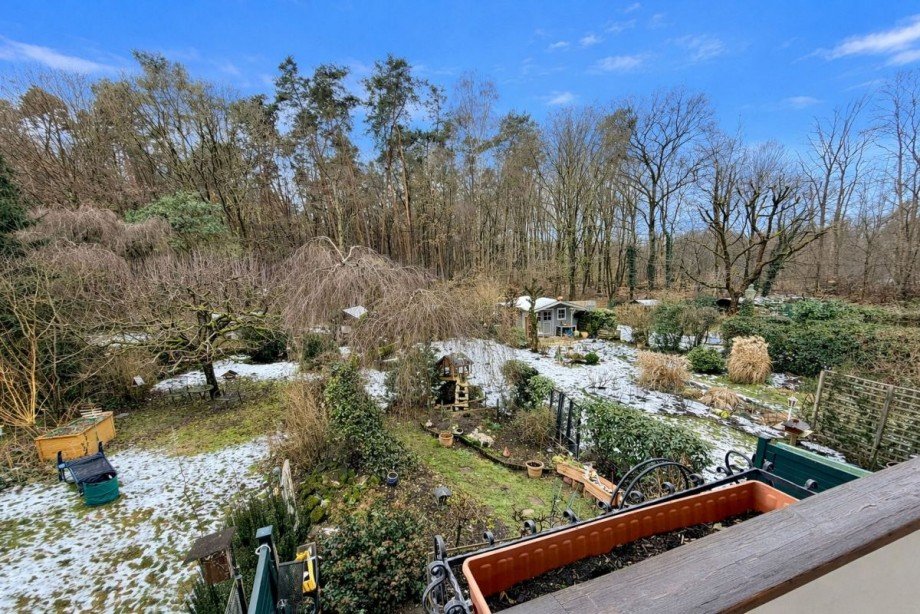 Blick in den Garten Reihenmittelhaus Heusenstamm